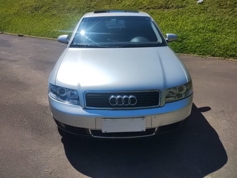 AUDI A4 LE (6)