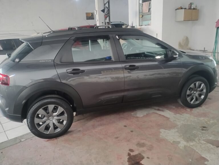 C4 CACTUS (7)